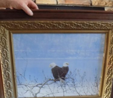 eagle-picture-scaled-e1585015456799